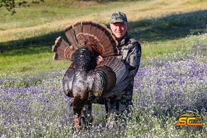 Shawn's 2021 California Rio Grande Gobbler 002